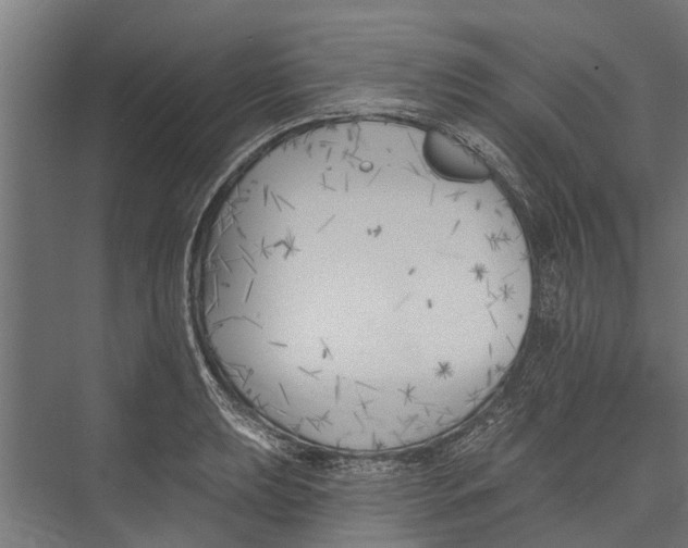 X0000075351039200610061715