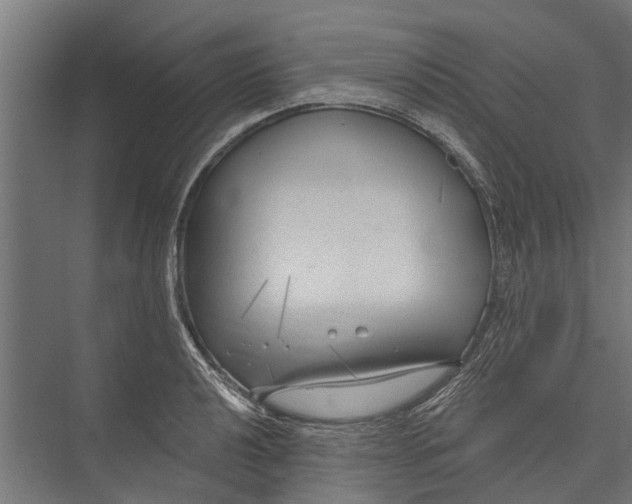 X0000075351040200610061715