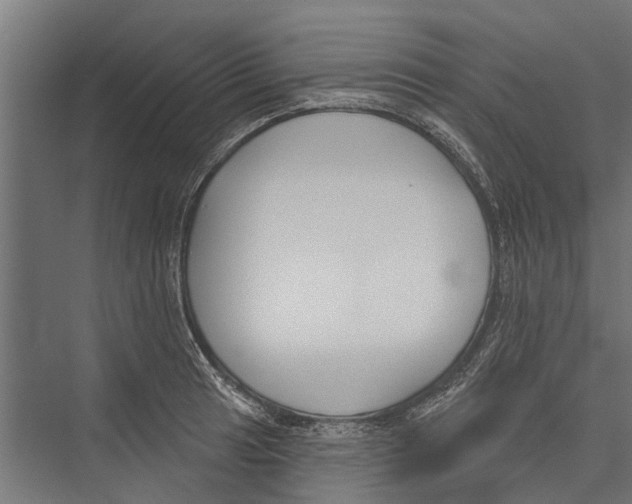 X0000075351041200610061715