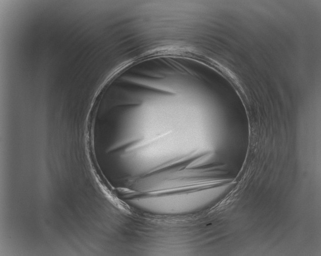 X0000075351042200610061715