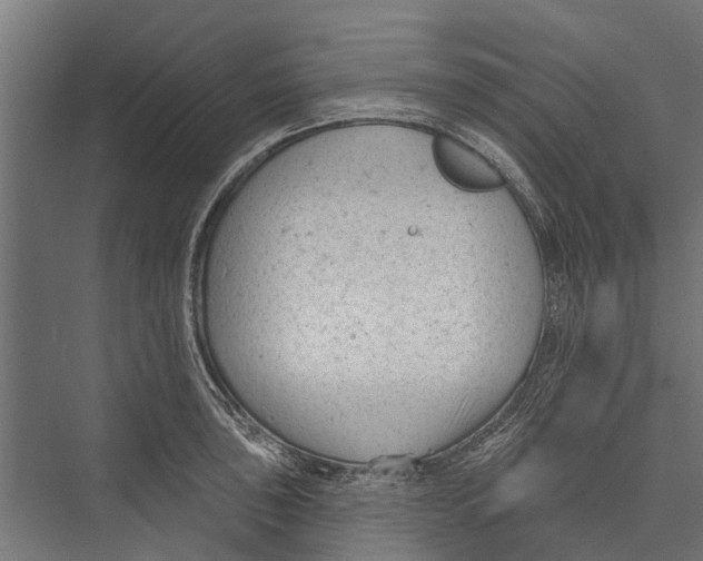 X0000075351043200610061715