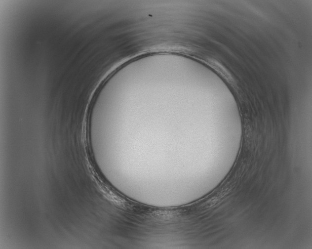 X0000075351044200610061715