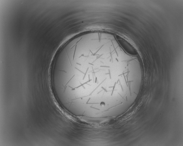 X0000075351045200610061716