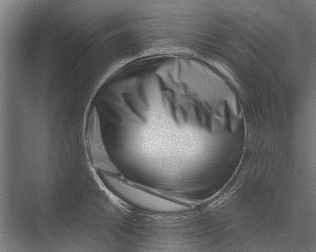 X0000075351046200610061716