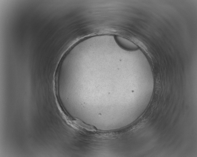 X0000075351047200610061716