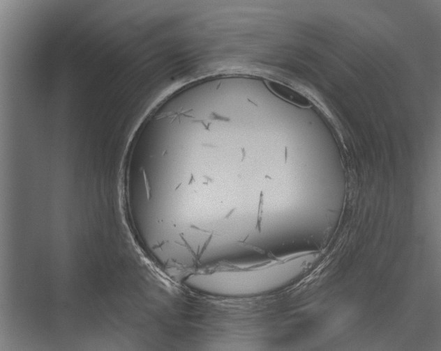 X0000075351048200610061716