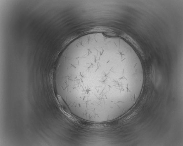 X0000075351049200610061716