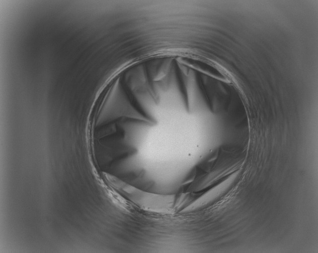 X0000075351050200610061716