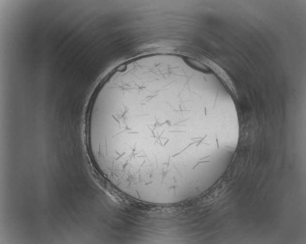 X0000075351051200610061716