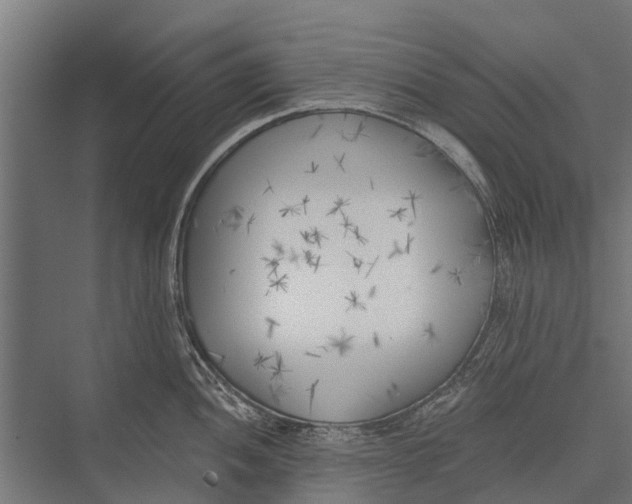 X0000075351052200610061716