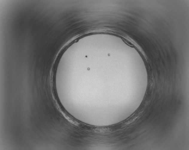 X0000075351053200610061716