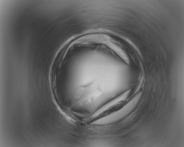 X0000075351054200610061716