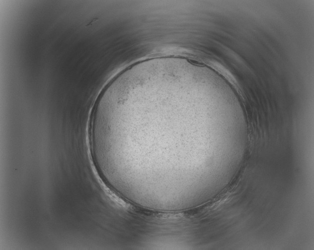 X0000075351055200610061716