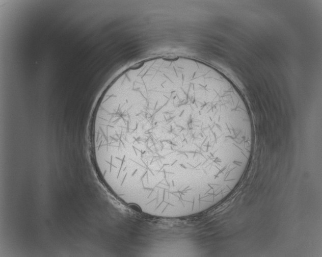 X0000075351056200610061716