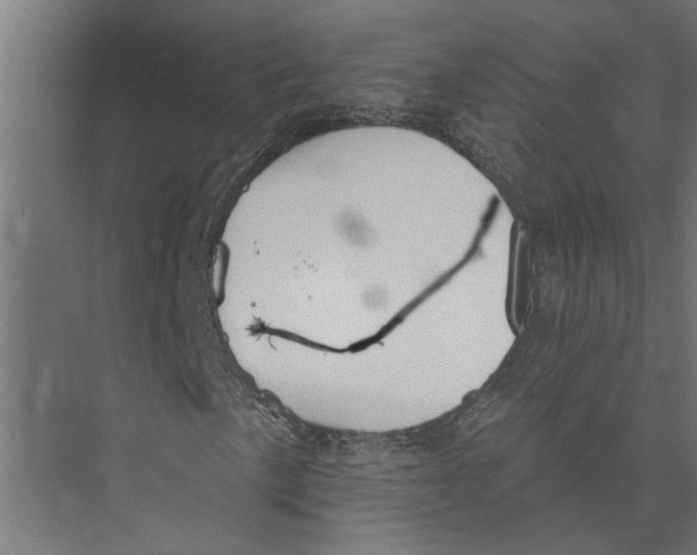 X0000075351057200610061715