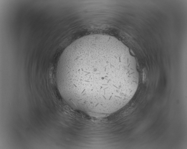 X0000075351059200610061715