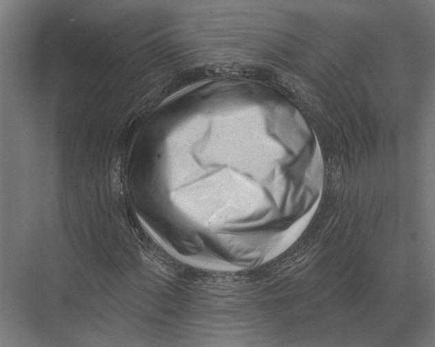 X0000075351060200610061715