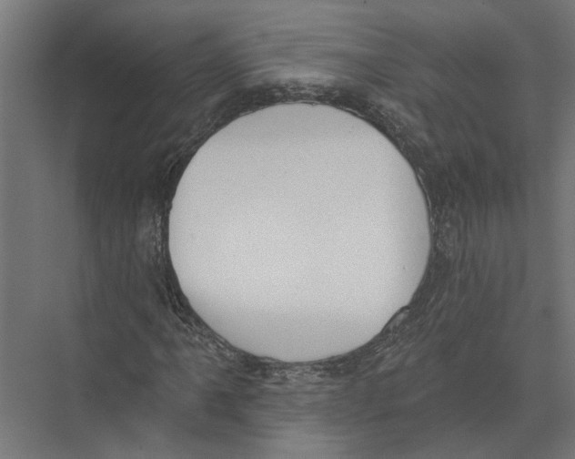 X0000075351061200610061715