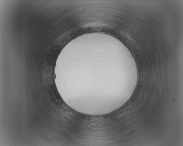 X0000075351062200610061715