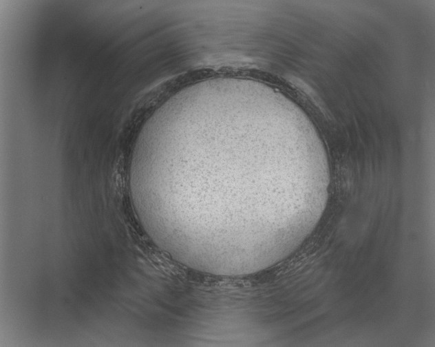 X0000075351063200610061715