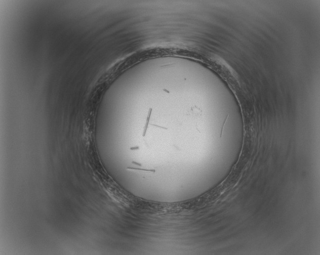 X0000075351064200610061715