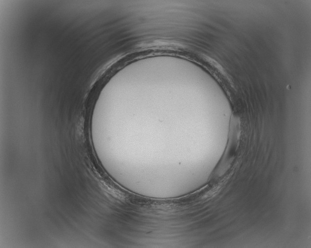 X0000075351066200610061715