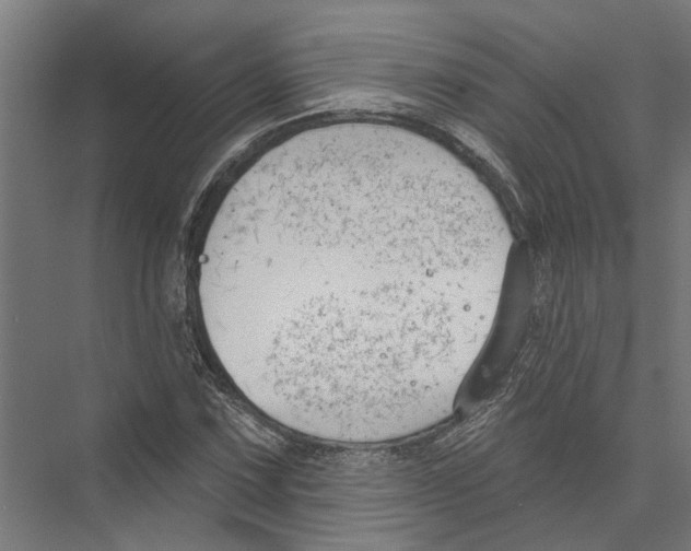 X0000075351067200610061715