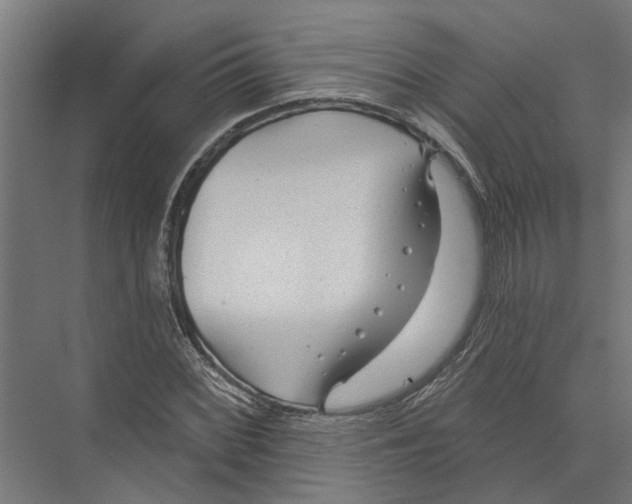 X0000075351068200610061715