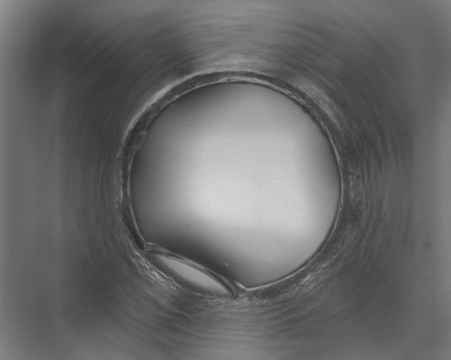 X0000075351069200610061715