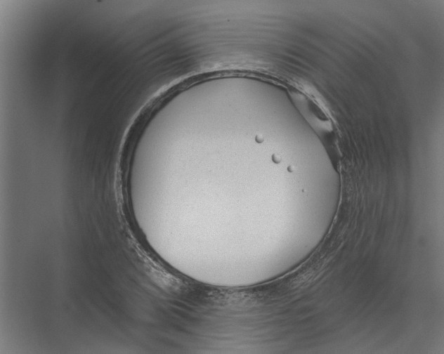 X0000075351072200610061715