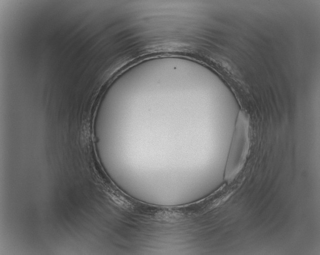 X0000075351073200610061715