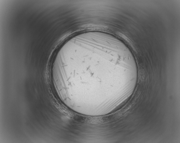 X0000075351074200610061715