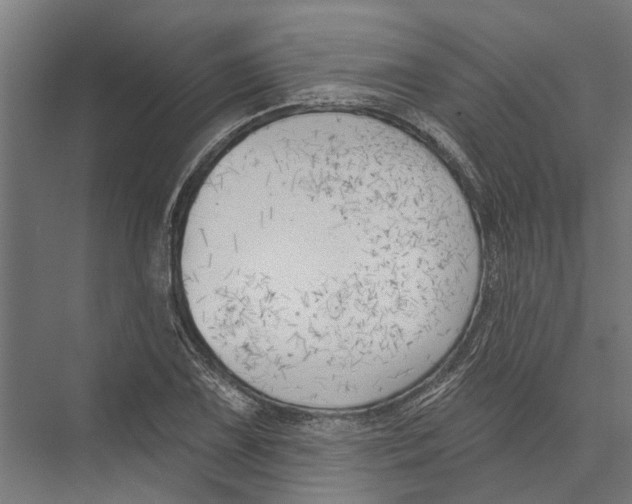 X0000075351075200610061715