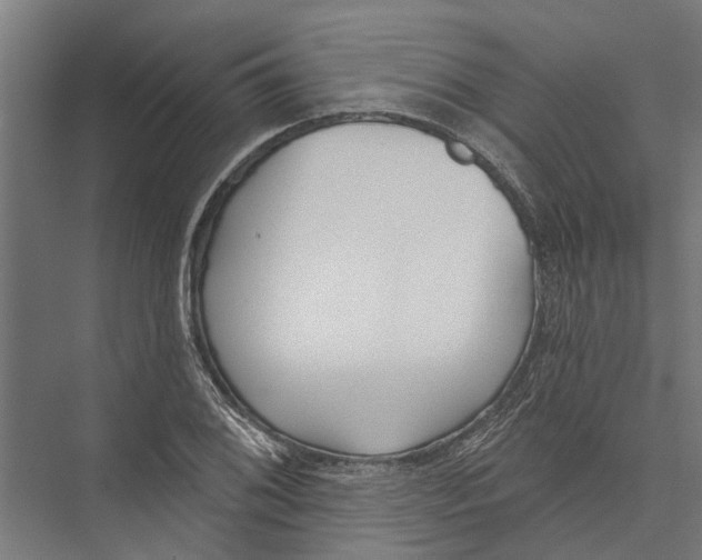 X0000075351076200610061715