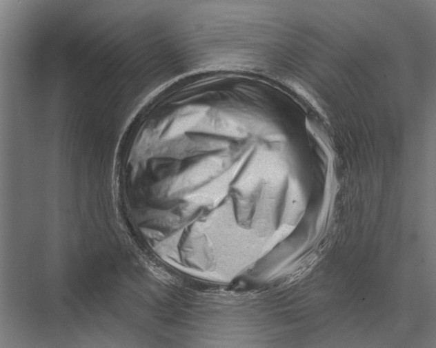 X0000075351077200610061715