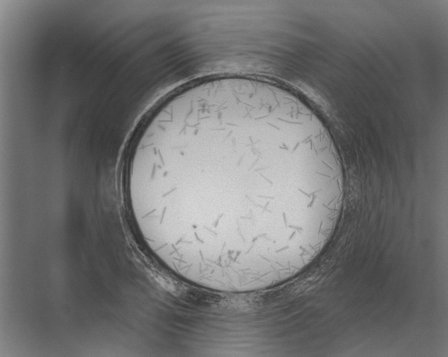 X0000075351078200610061715