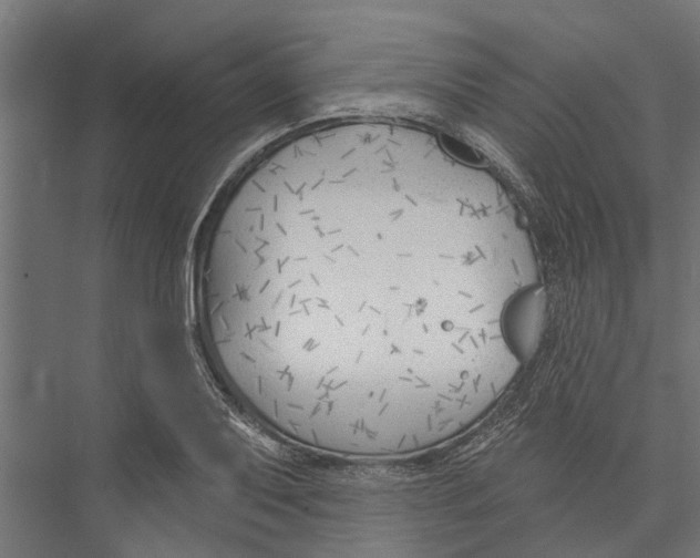 X0000075351079200610061715