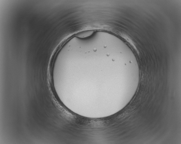 X0000075351080200610061714