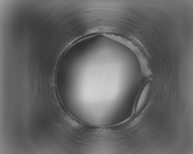 X0000075351081200610061714