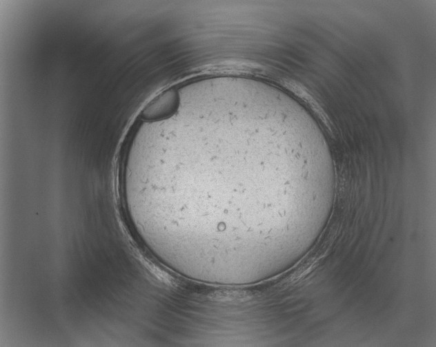 X0000075351083200610061714