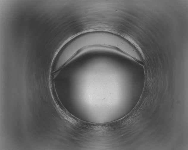 X0000075351085200610061714