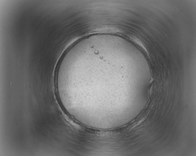 X0000075351087200610061714