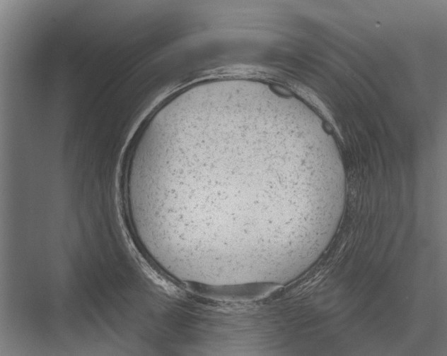 X0000075351091200610061714