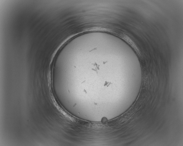 X0000075351092200610061714