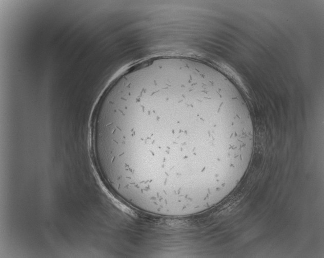 X0000075351095200610061714