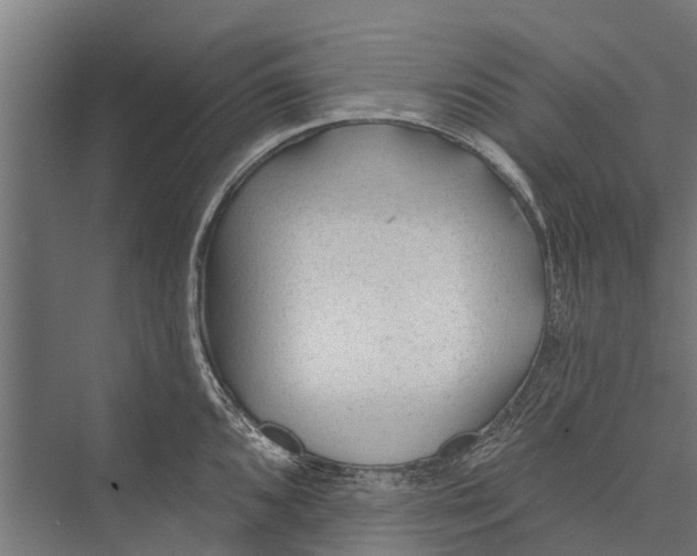 X0000075351096200610061714