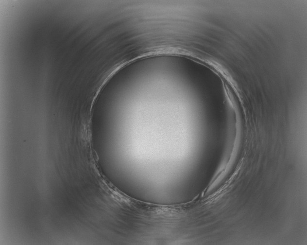 X0000075351097200610061714