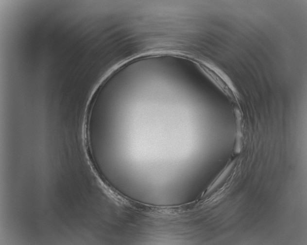 X0000075351101200610061714