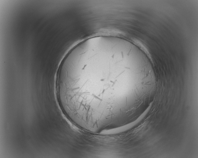 X0000075351103200610061714