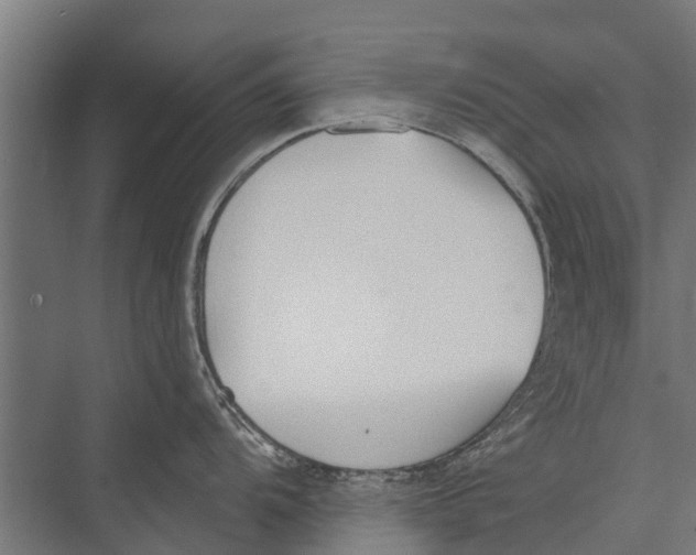 X0000075351104200610061714